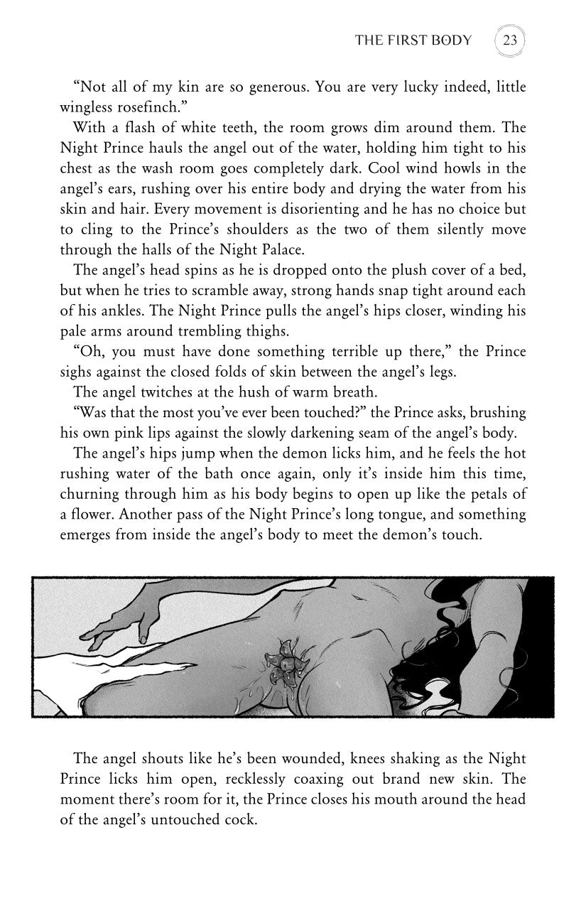 THE NIGHT PRINCE & THE ROSEFINCH vol 1